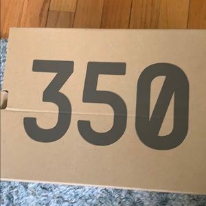Yeezy boost 350